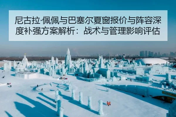 ni-gu-la-pei-pei-yu-ba-sai-er-xia-chuang-bao-jia-yu-zhen-rong-shen-du-bu-qiang-fang-an-jie-xi-zhan-shu-yu-guan-li-ying-1-284.jpg