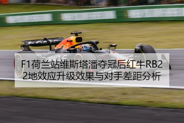 he-lan-zhan-wei-si-ta-pan-duo-guan-hou-hong-niu-di-xiao-ying-sheng-ji-xiao-guo-yu-dui-shou-cha-ju-fen-xi-2-488.jpg
